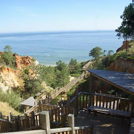 Apartament Remarkable 1-bed In Olhos De Agua